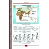 Хроники Земли. Эпос развития человечества